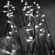 Illustration for article titled Photo Contest: Christmas Lights
